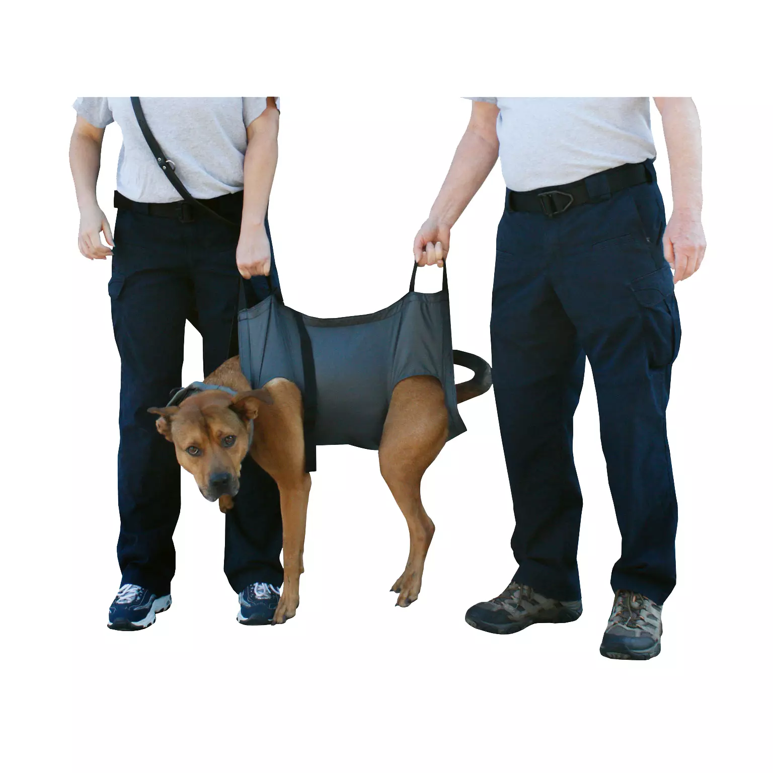 Rescue Essentials K9 QuikLitter - Sling for service dogs - Medium